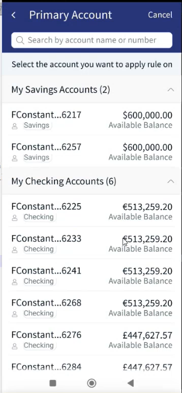 Primary Account